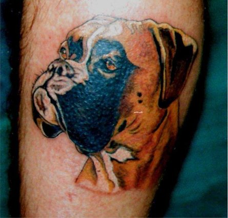 Dog Tattoo The dog was tattooed by its owner, while under anesthetic.